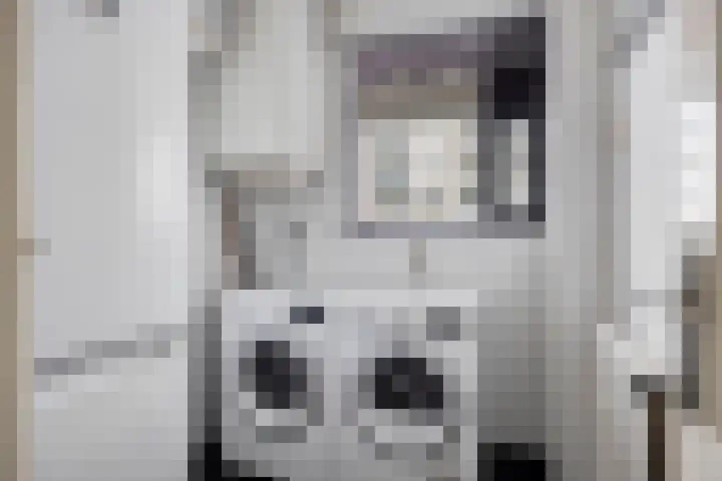 Neerstraat 121 's-Hertogenbosch thumbnail 19