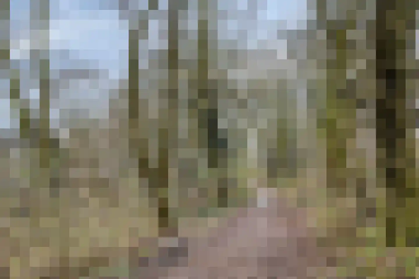 Neerstraat 121 's-Hertogenbosch thumbnail 31