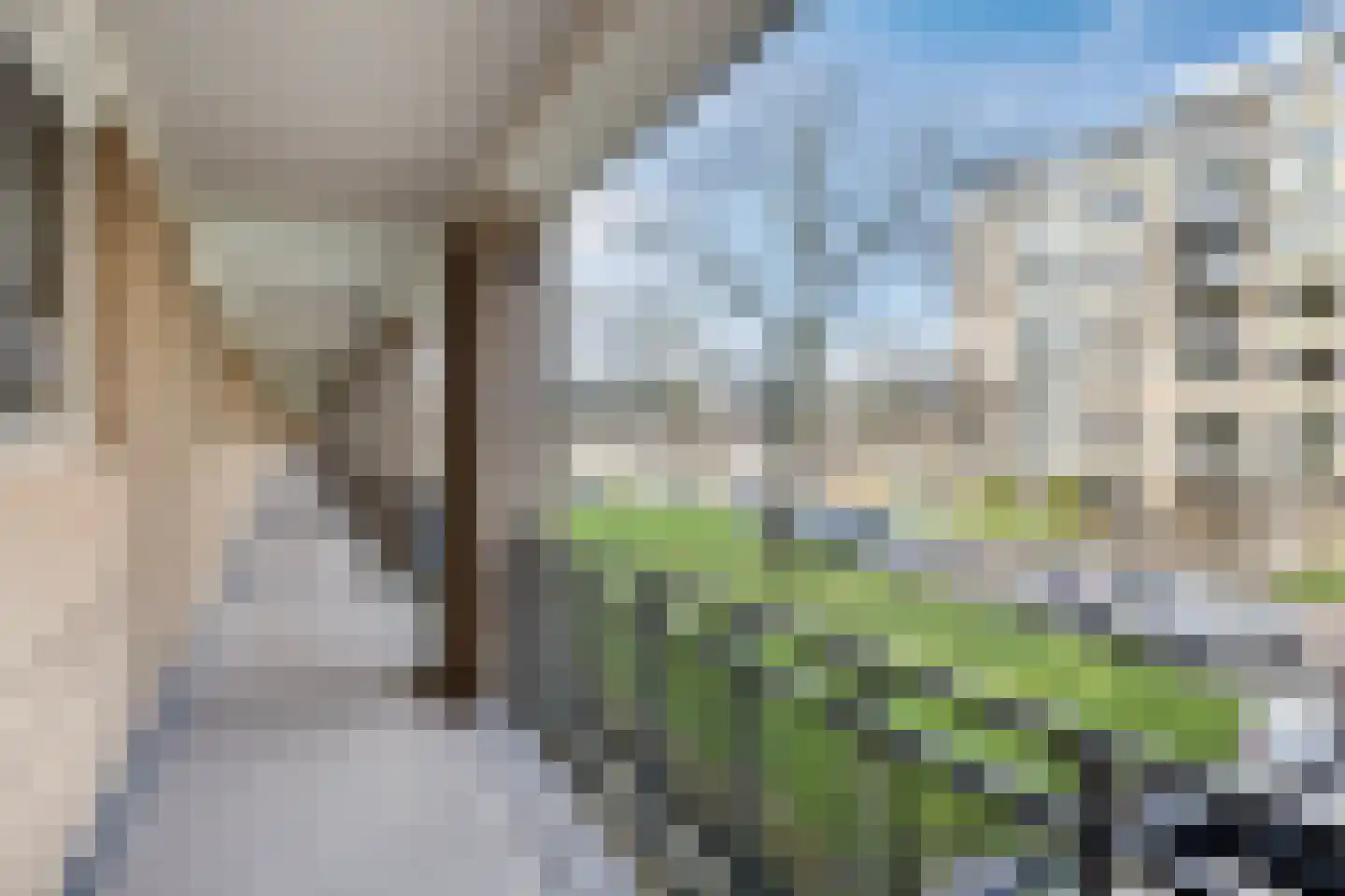 Neerstraat 121 's-Hertogenbosch thumbnail 5