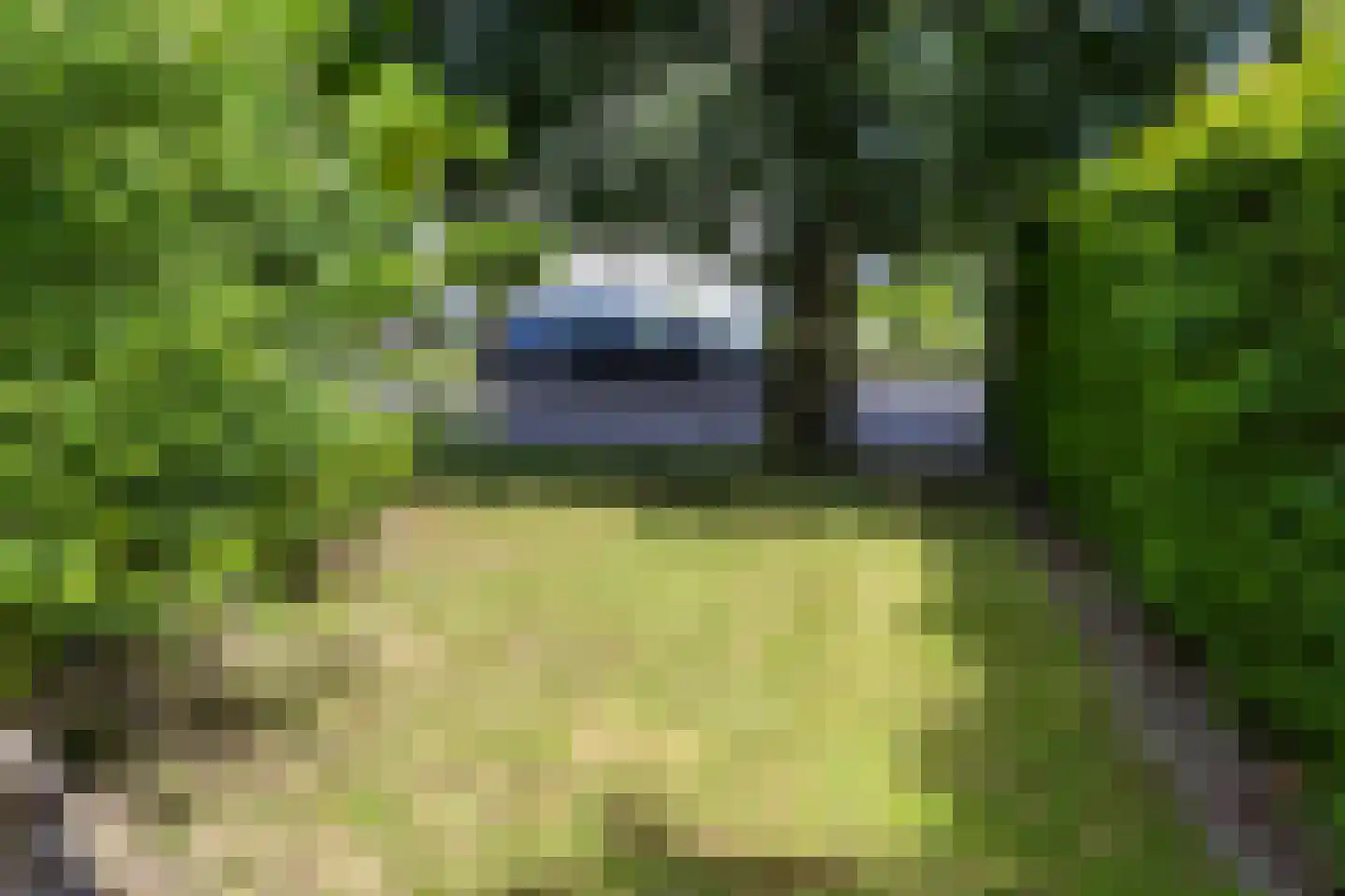 Neerstraat 13 Weert thumbnail 34