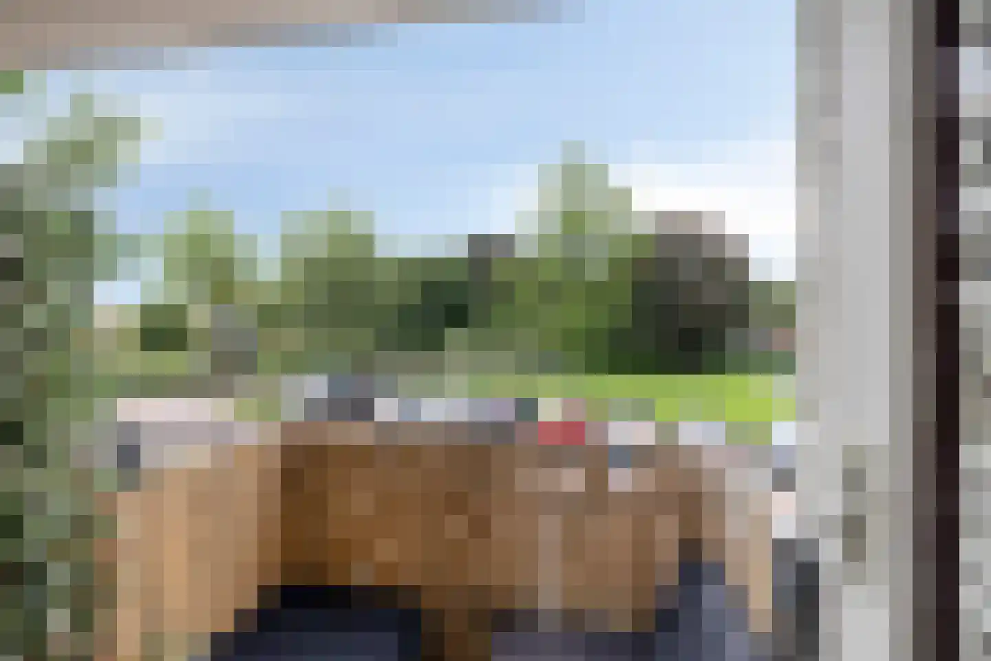 Neerstraat 15 's-Hertogenbosch thumbnail 14