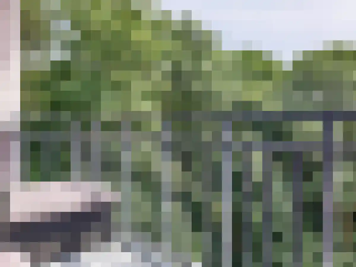 Neerstraat 151 's-Hertogenbosch thumbnail 6