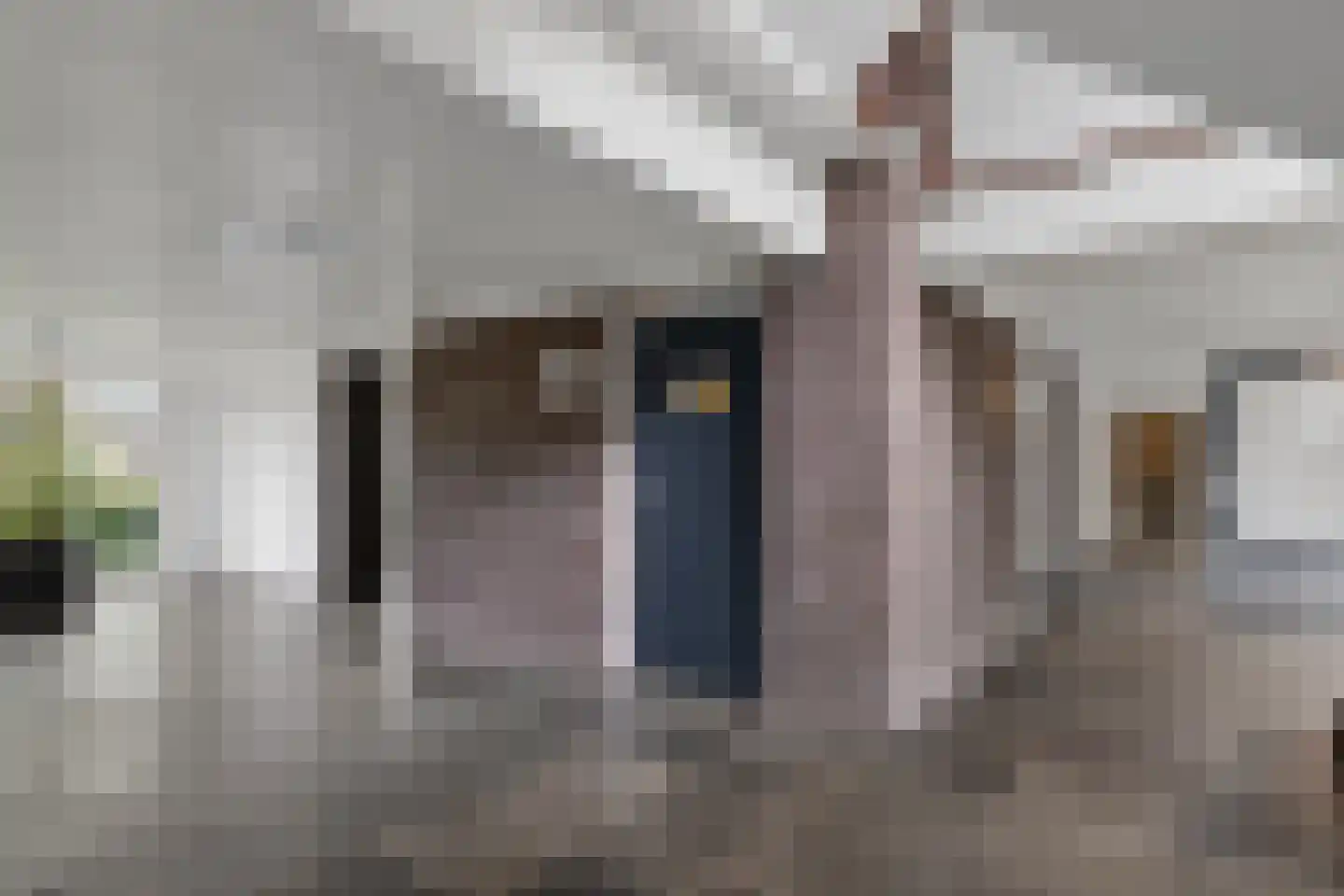 Neerstraat 165 's-Hertogenbosch thumbnail 18