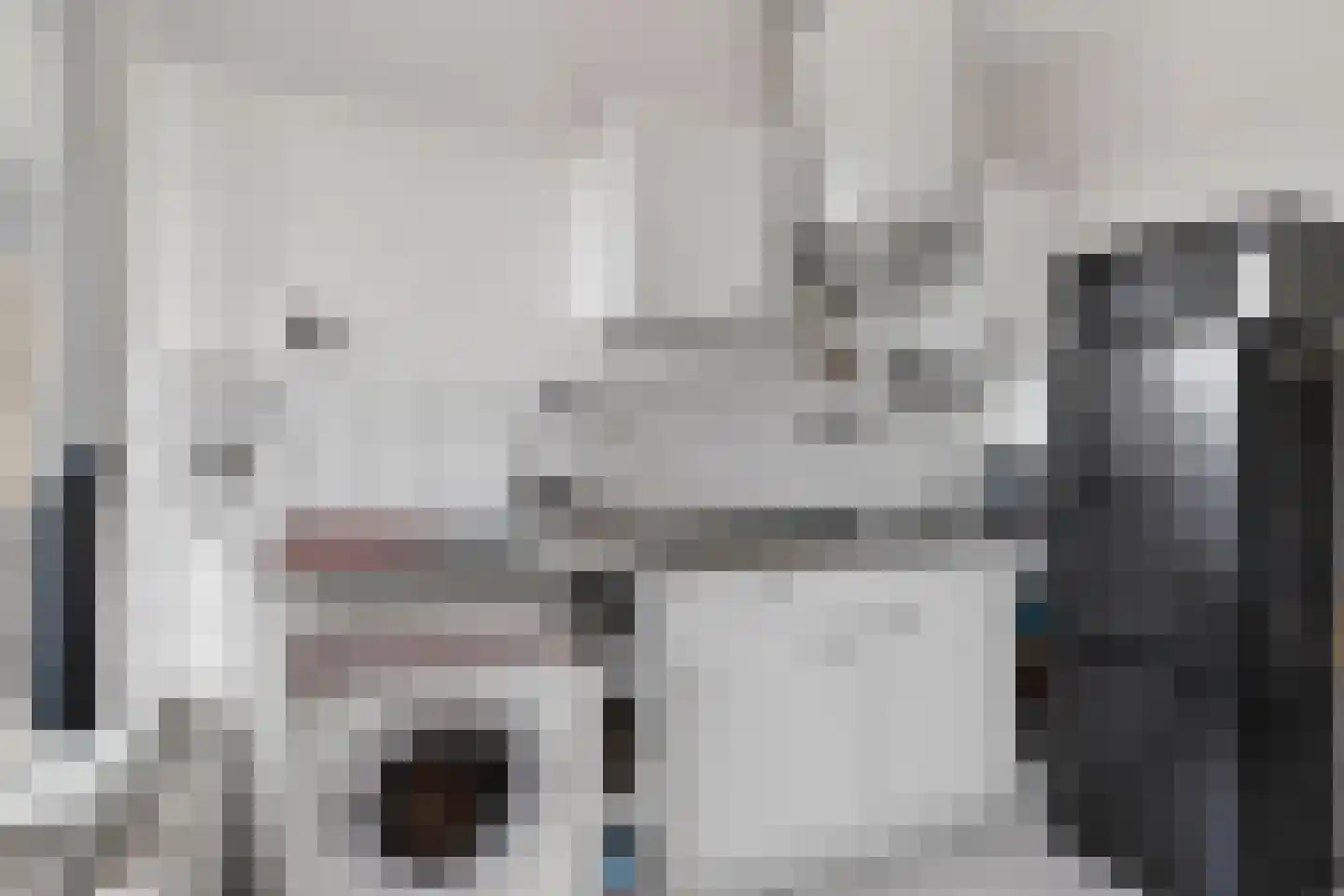 Neerstraat 165 's-Hertogenbosch thumbnail 8