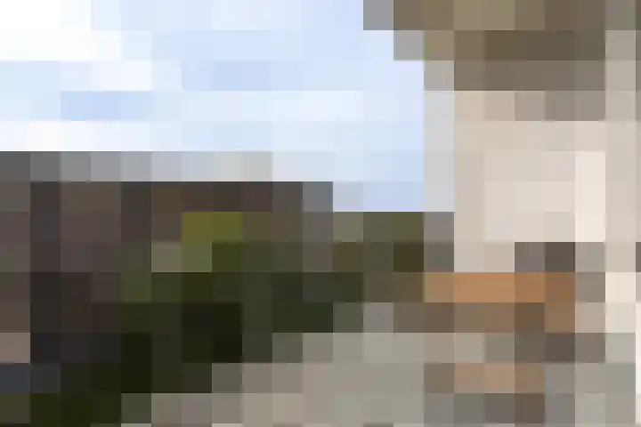 Neerstraat 173 's-Hertogenbosch thumbnail 22