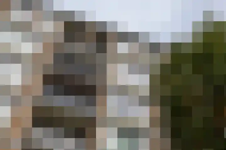 Neerstraat 173 's-Hertogenbosch thumbnail 29