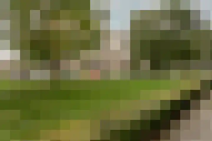 Neerstraat 173 's-Hertogenbosch thumbnail 30