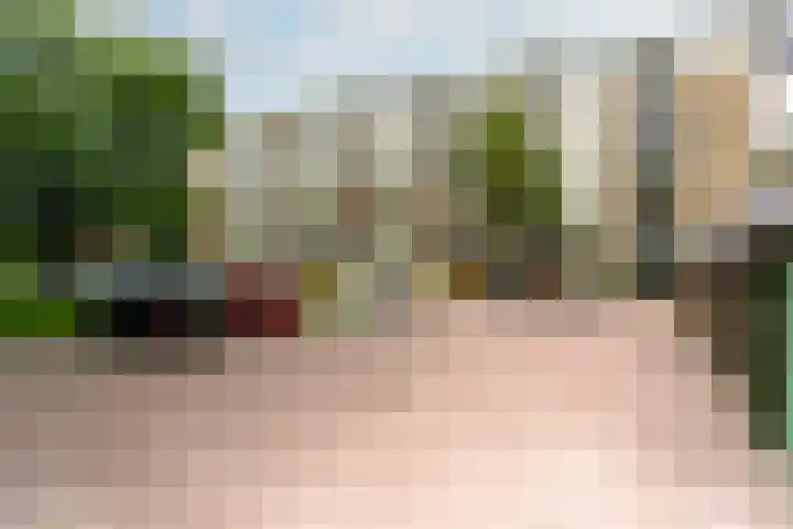 Neerstraat 173 's-Hertogenbosch thumbnail 31