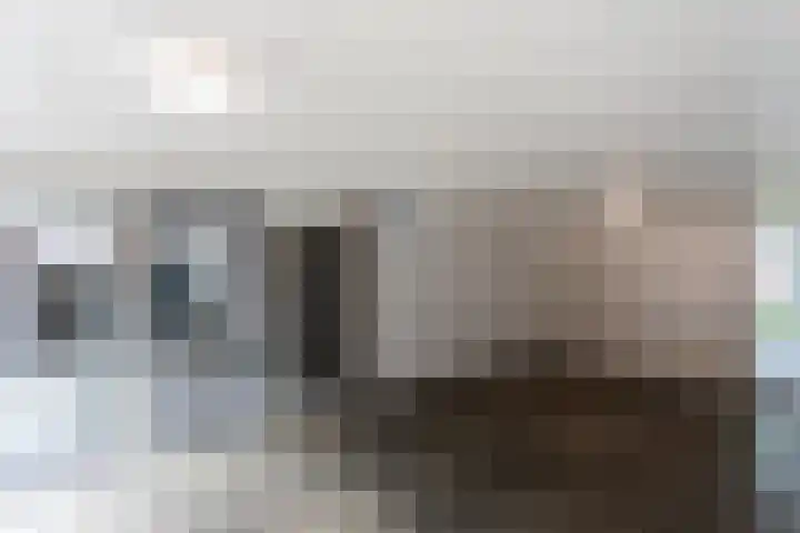 Neerstraat 173 's-Hertogenbosch thumbnail 5
