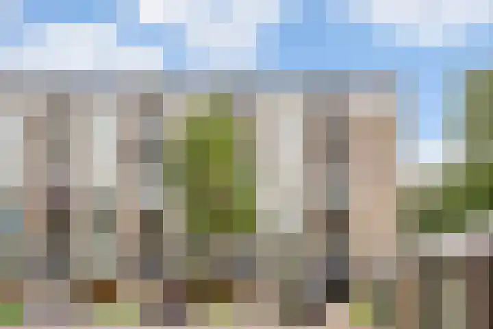 Neerstraat 179 's-Hertogenbosch thumbnail 31