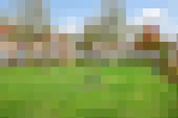 Neerstraat 179 's-Hertogenbosch thumbnail 32