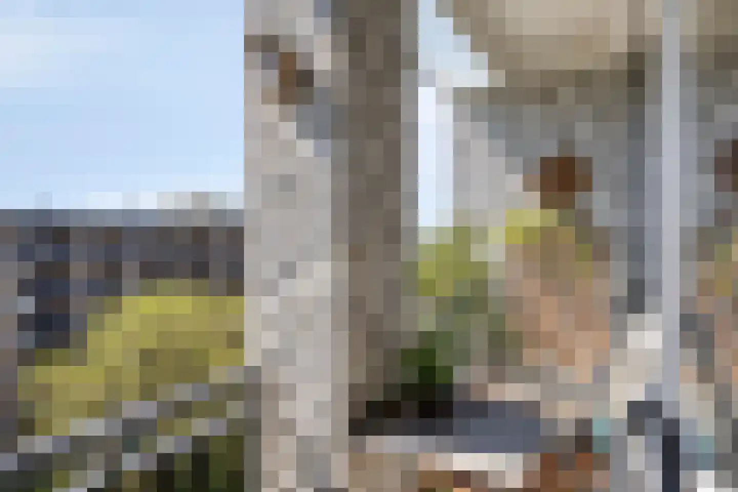 Neerstraat 183 's-Hertogenbosch thumbnail 17