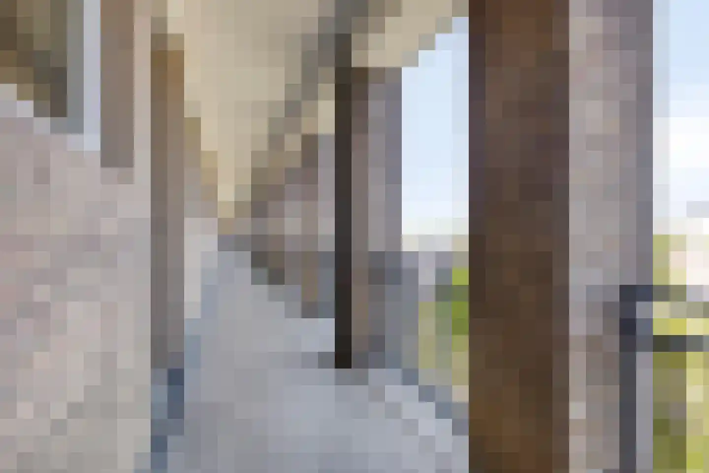 Neerstraat 183 's-Hertogenbosch thumbnail 31