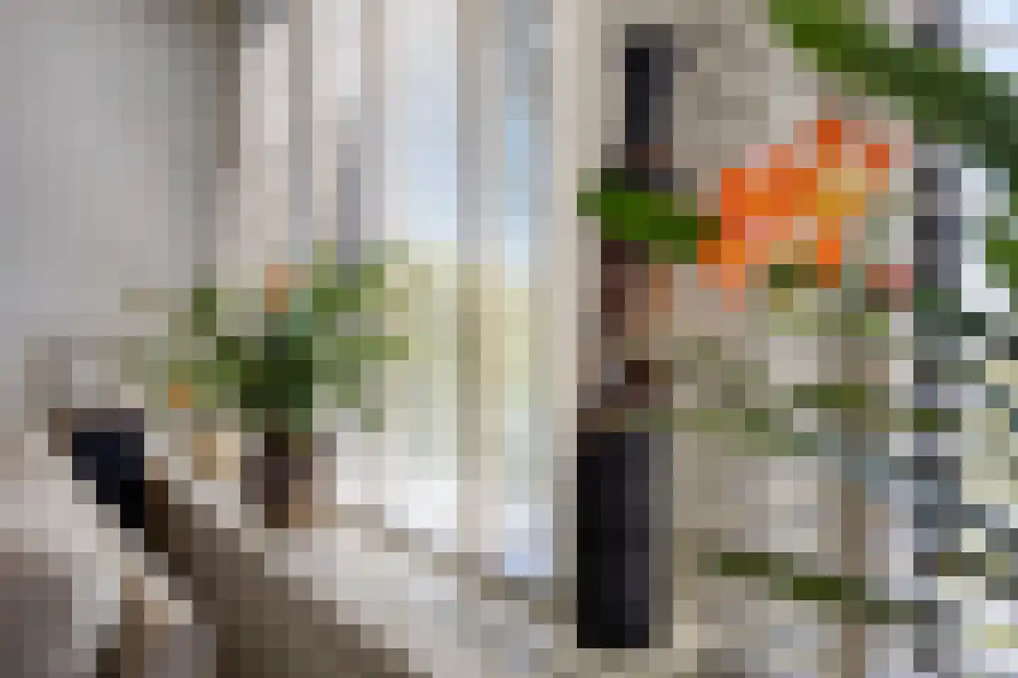 Neerstraat 183 's-Hertogenbosch thumbnail 8