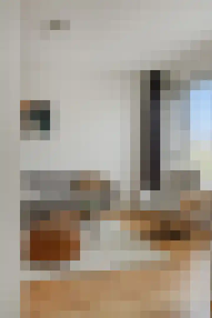 Neerstraat 187 's-Hertogenbosch thumbnail 16