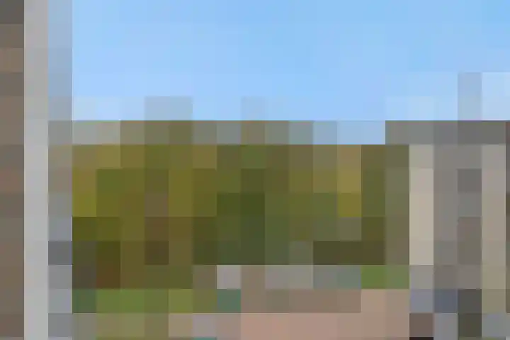 Neerstraat 187 's-Hertogenbosch thumbnail 34