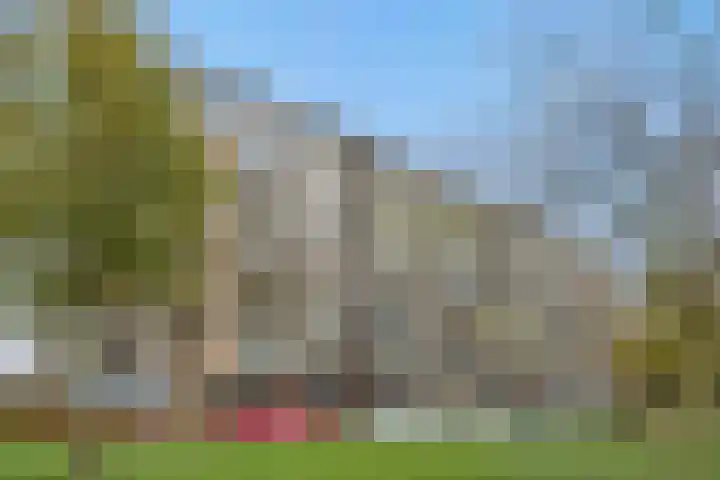 Neerstraat 187 's-Hertogenbosch thumbnail 35