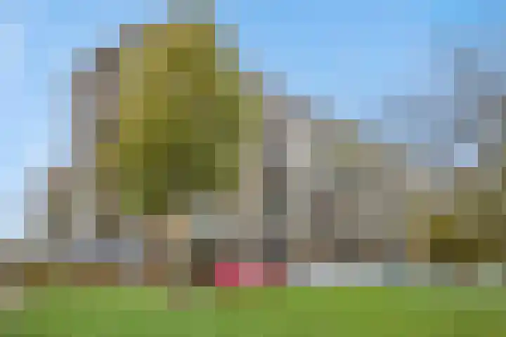 Neerstraat 187 's-Hertogenbosch thumbnail 36