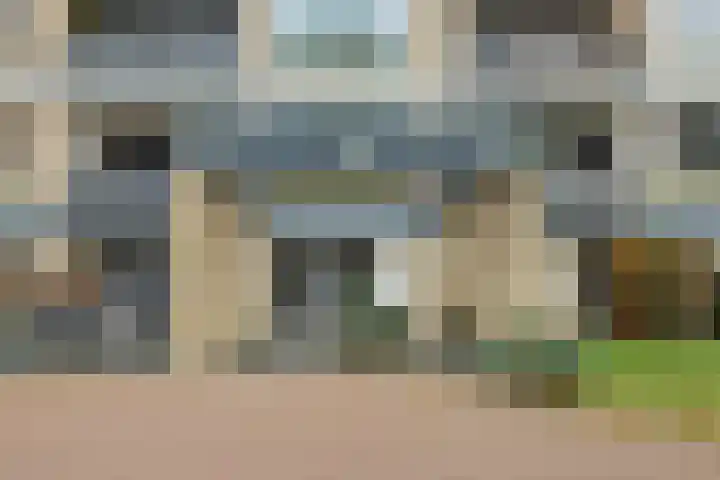 Neerstraat 187 's-Hertogenbosch thumbnail 5