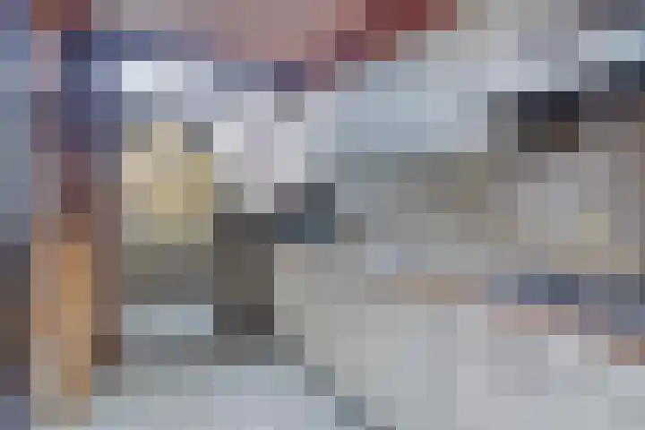 Neerstraat 20 's-Hertogenbosch thumbnail 13