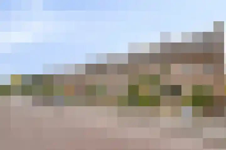 Neerstraat 20 's-Hertogenbosch thumbnail 27