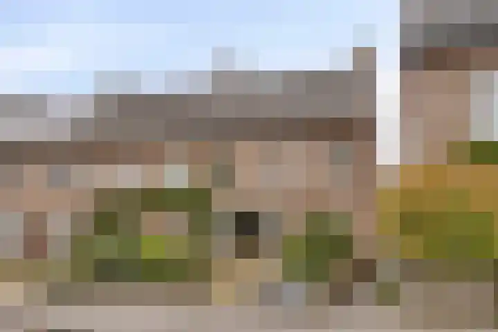 Neerstraat 20 's-Hertogenbosch thumbnail 6