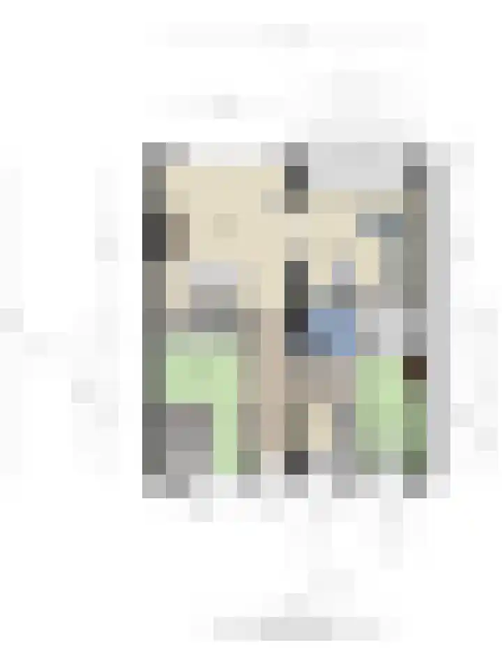 Neerstraat 215 's-Hertogenbosch thumbnail 14