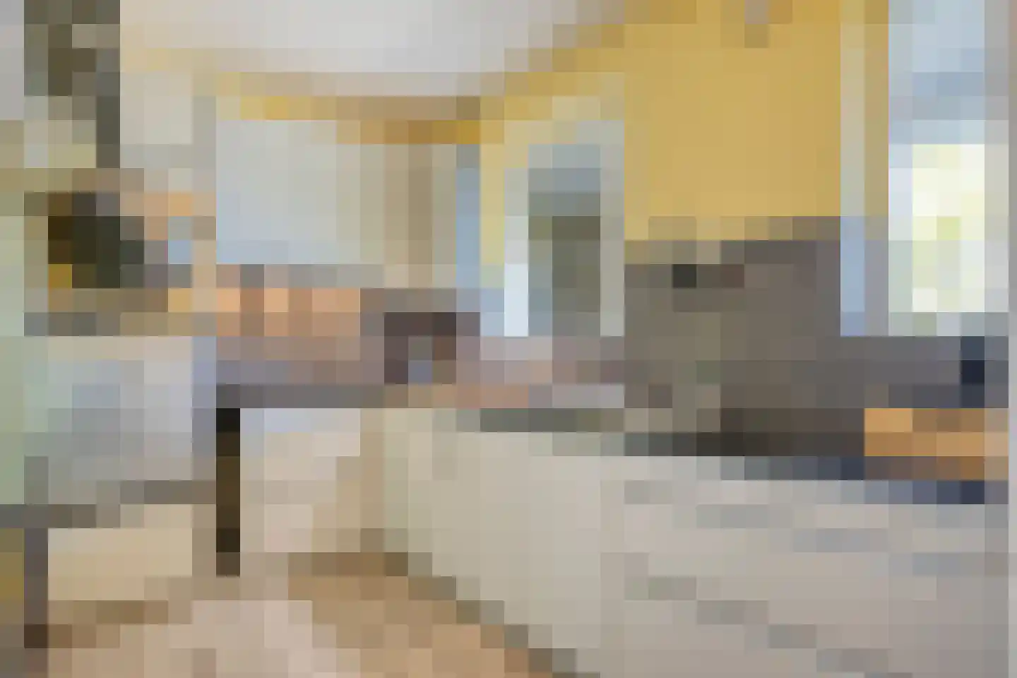 Neerstraat 219 's-Hertogenbosch thumbnail 19