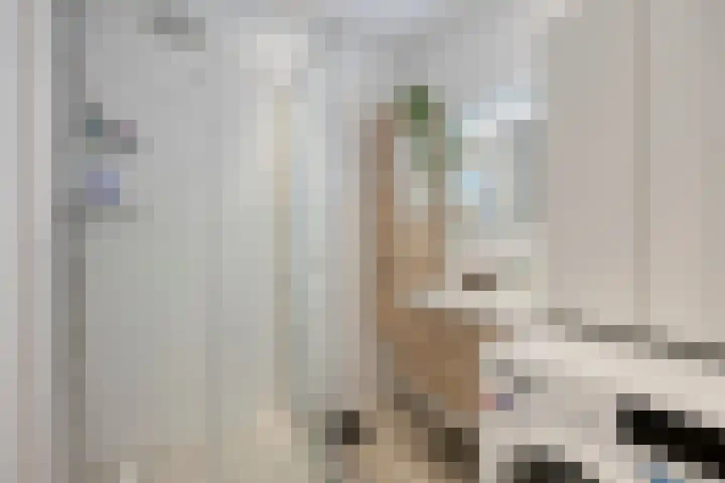 Neerstraat 219 's-Hertogenbosch thumbnail 21
