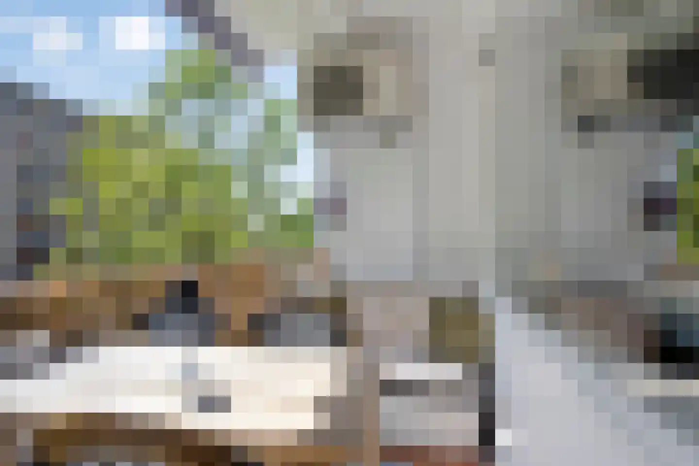 Neerstraat 219 's-Hertogenbosch thumbnail 31