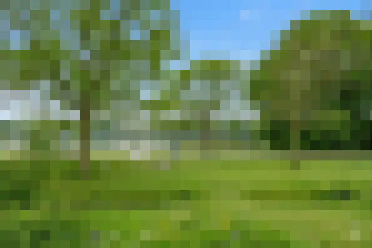 Neerstraat 219 's-Hertogenbosch thumbnail 36