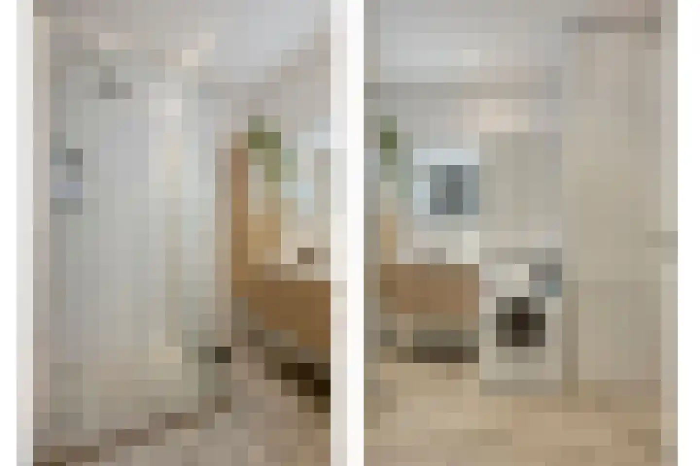 Neerstraat 219 's-Hertogenbosch thumbnail 5