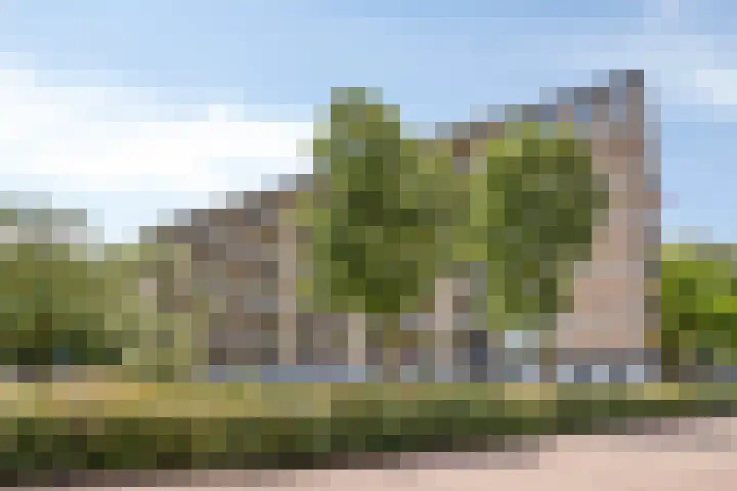 Neerstraat 245 's-Hertogenbosch