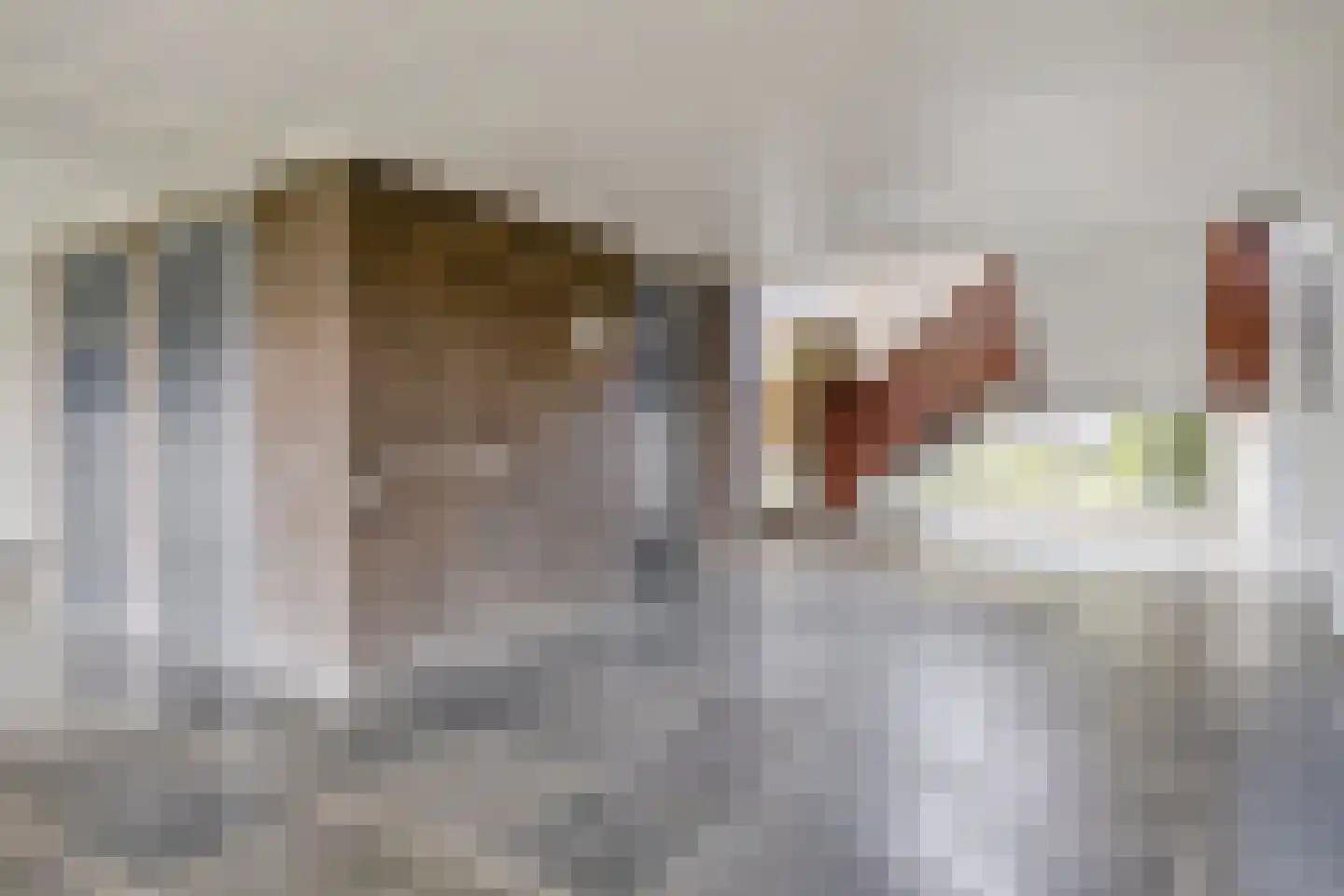Neerstraat 245 's-Hertogenbosch thumbnail 10