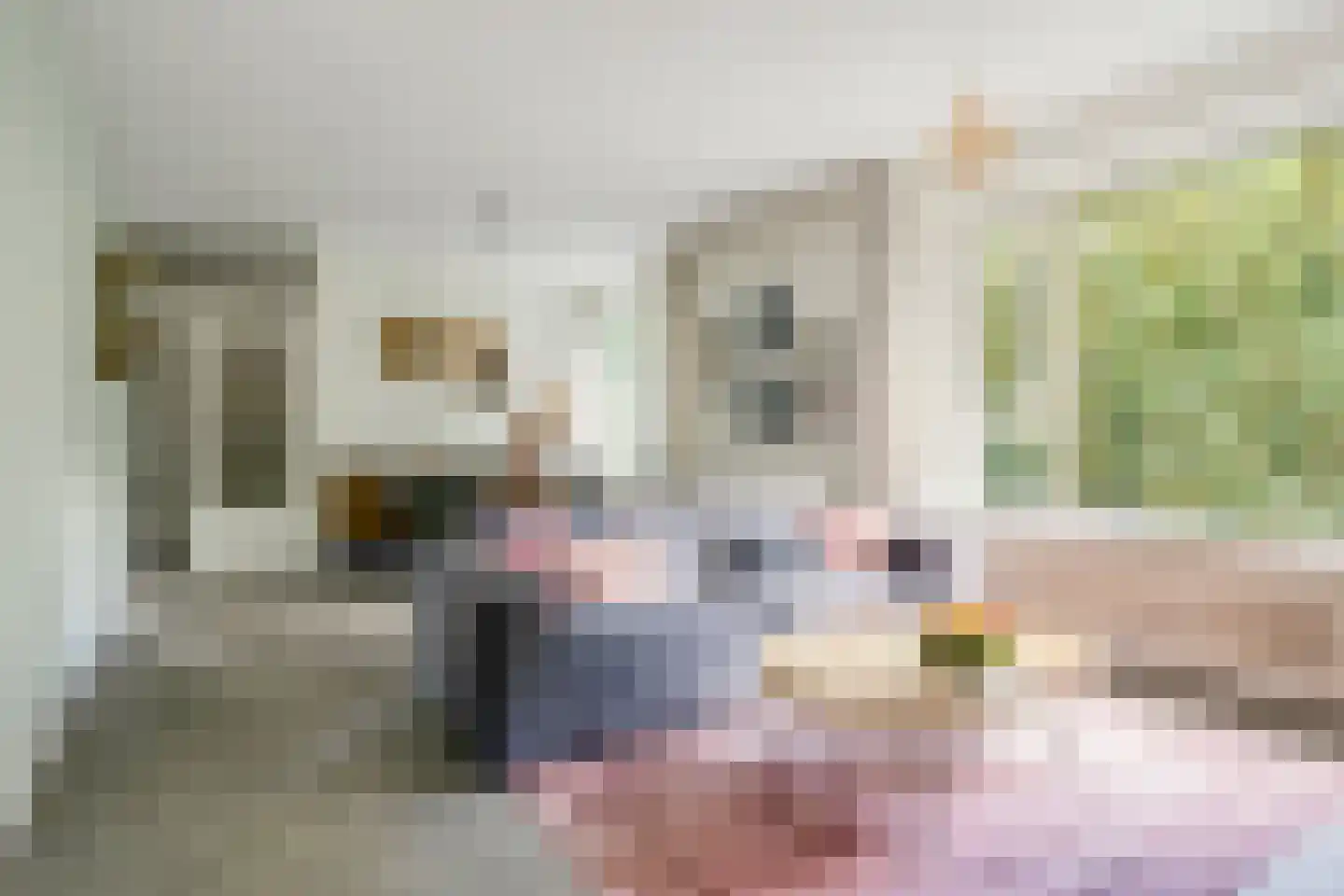Neerstraat 245 's-Hertogenbosch thumbnail 17