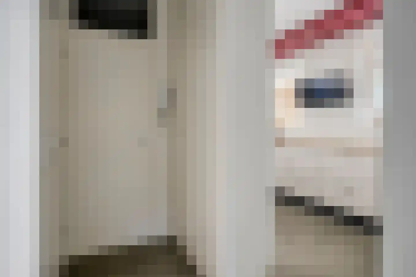 Neerstraat 245 's-Hertogenbosch thumbnail 22