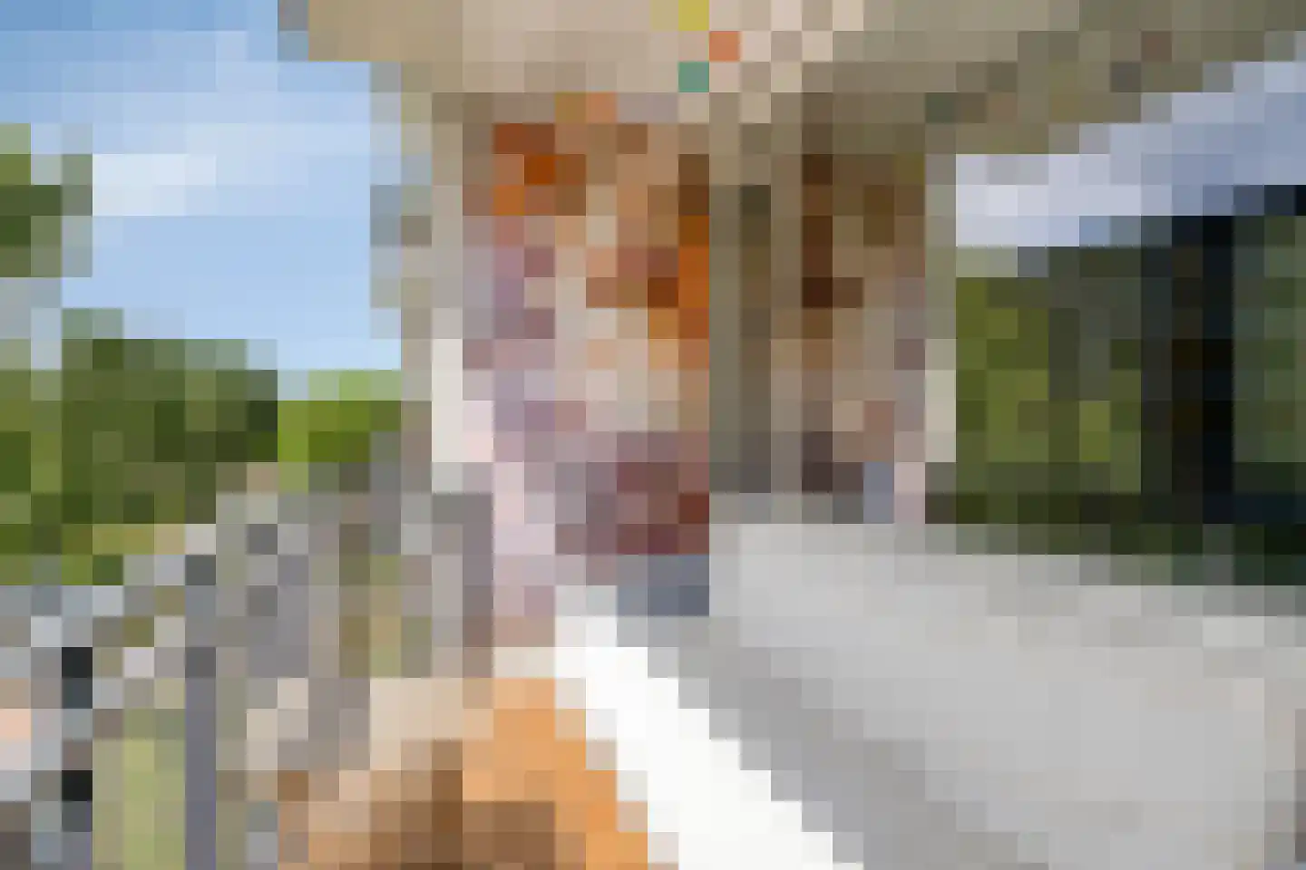Neerstraat 245 's-Hertogenbosch thumbnail 30