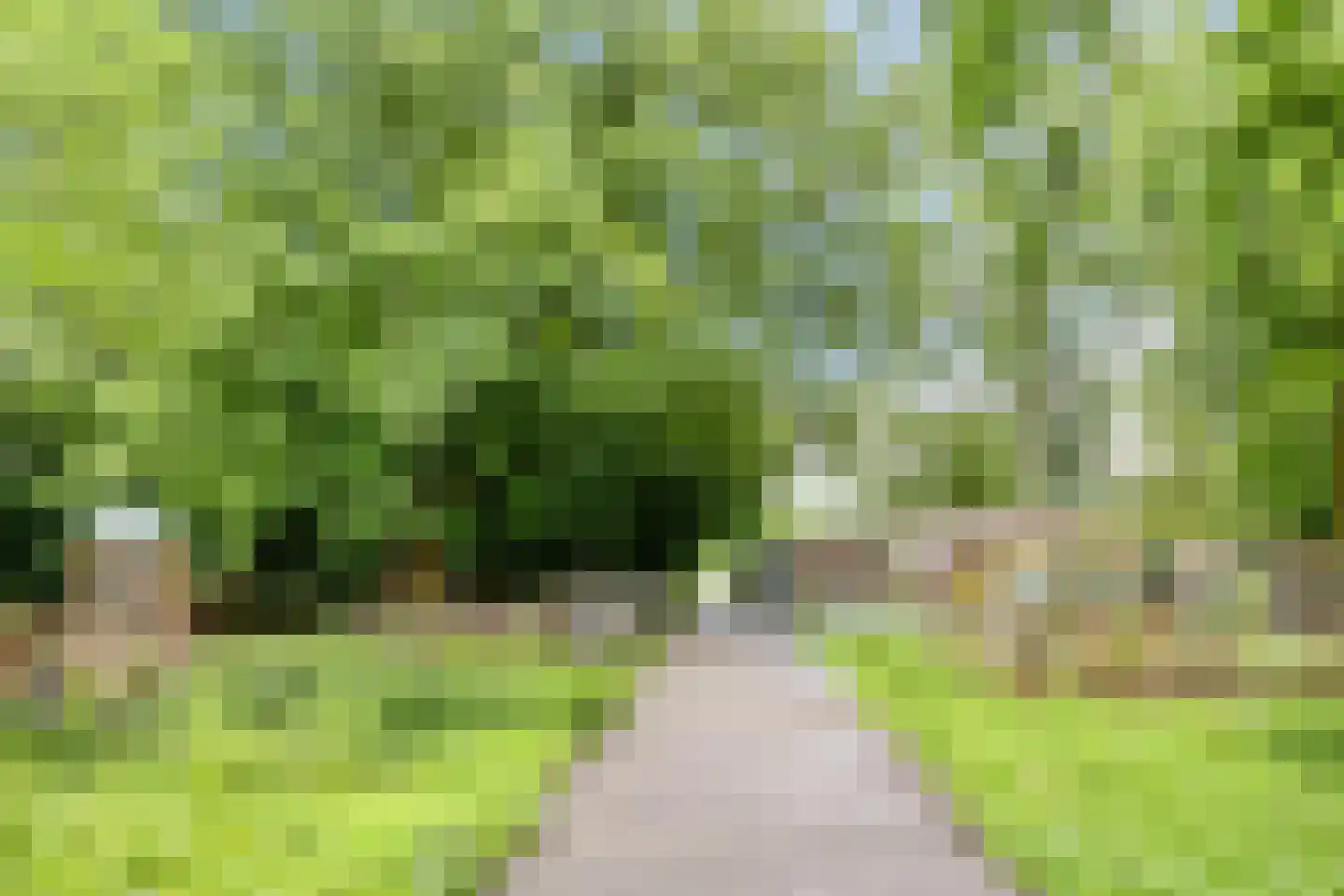 Neerstraat 245 's-Hertogenbosch thumbnail 47