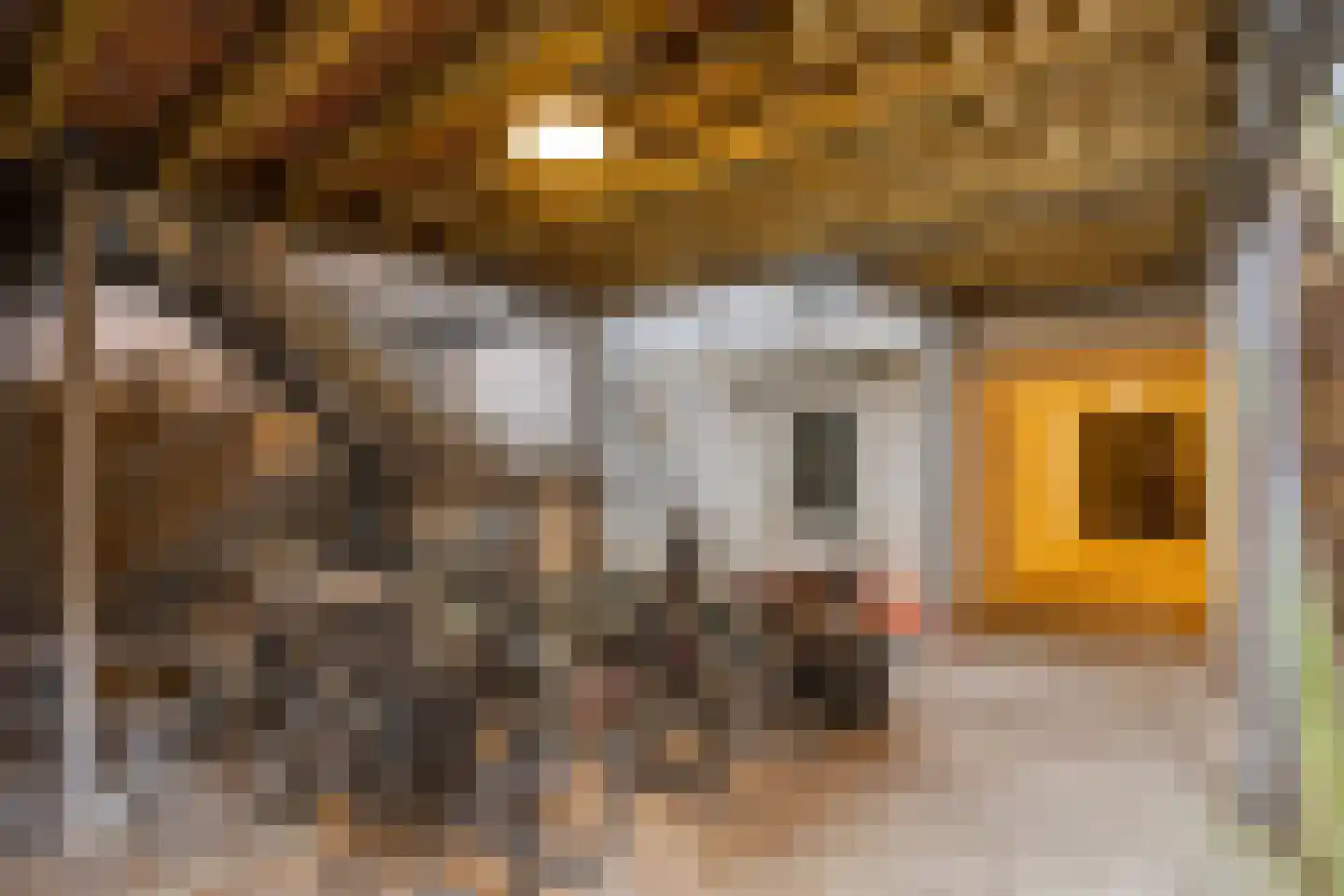 Neerstraat 26 B Roermond thumbnail 26