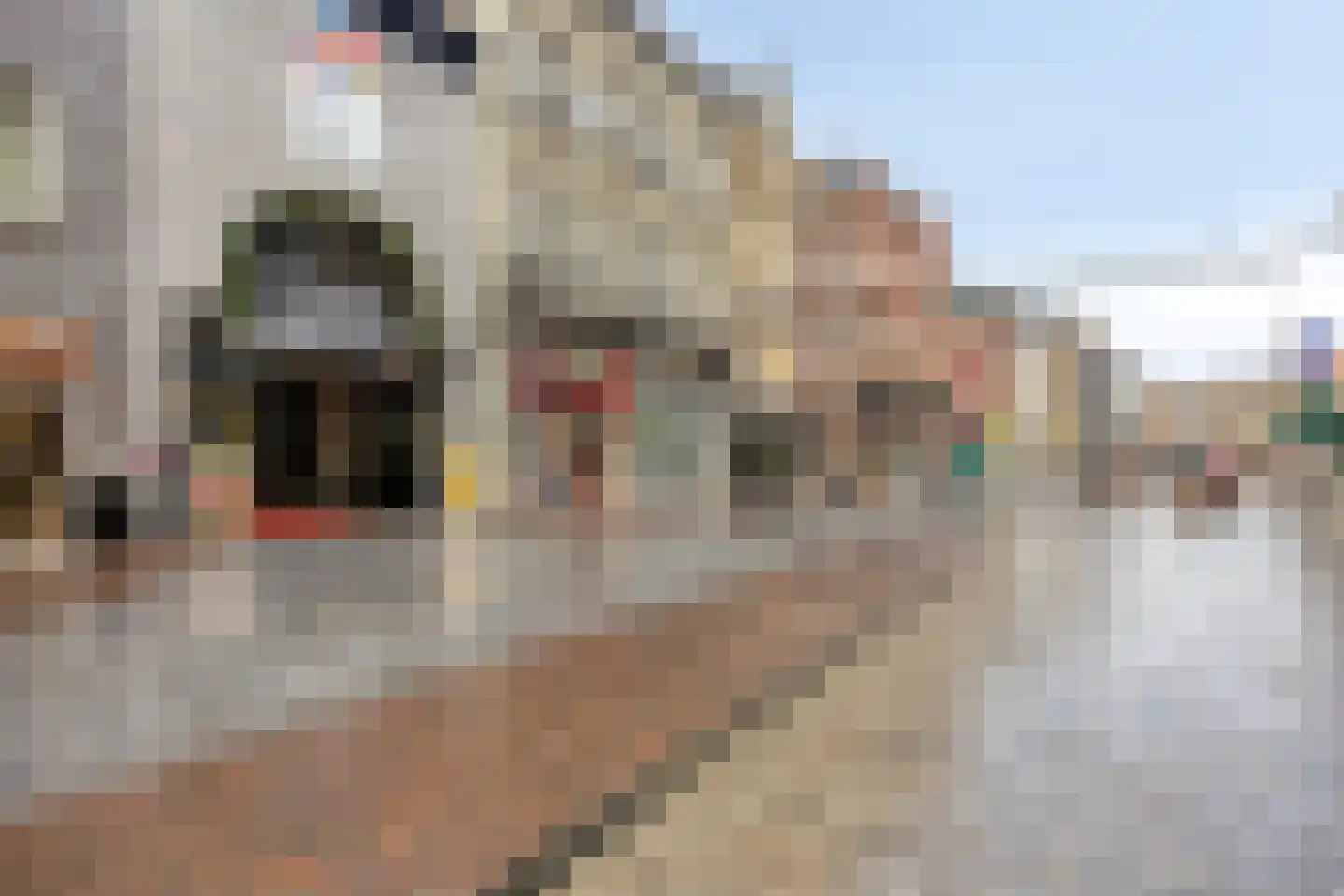 Neerstraat 26 B Roermond thumbnail 27