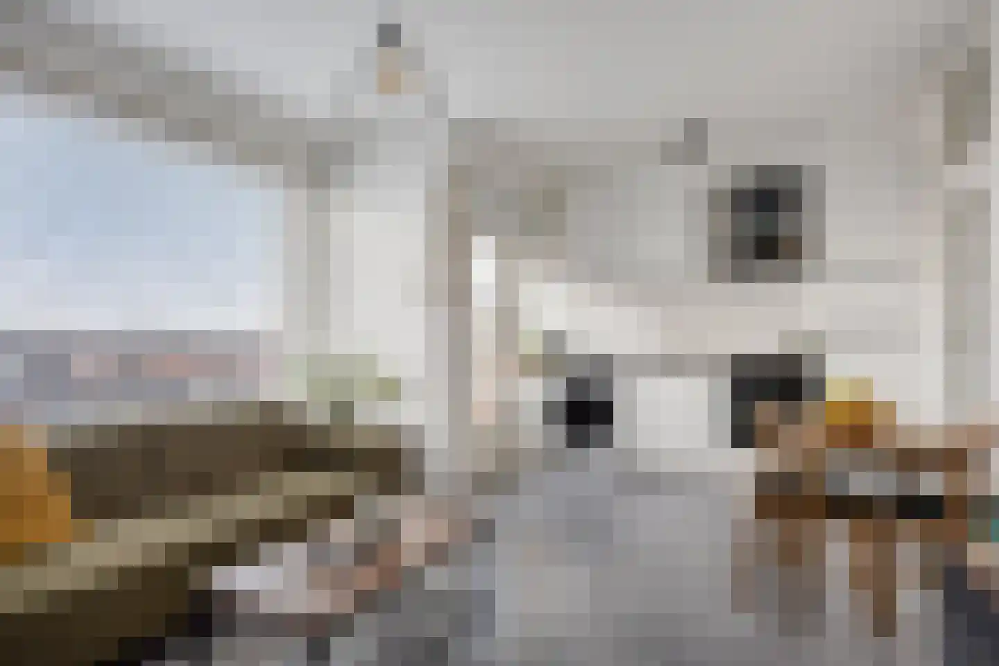 Neerstraat 261 's-Hertogenbosch thumbnail 7