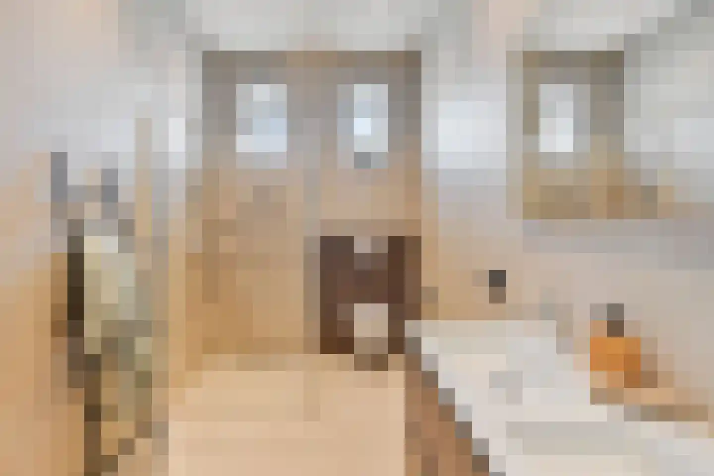 Neerstraat 40 B Roermond thumbnail 24