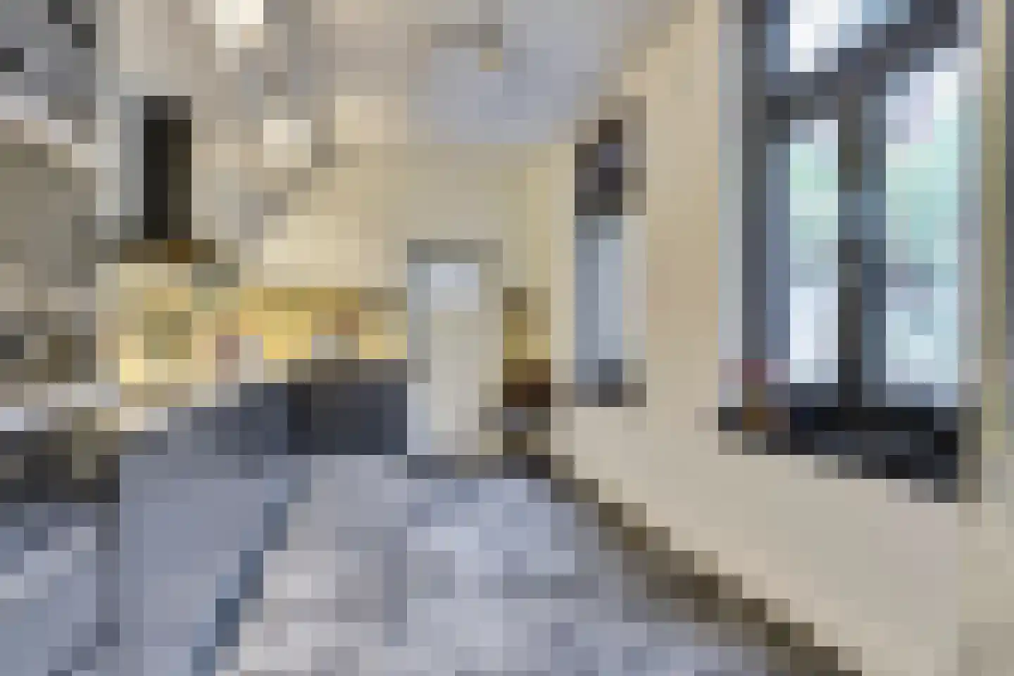 Neerstraat 63 Roermond thumbnail 12