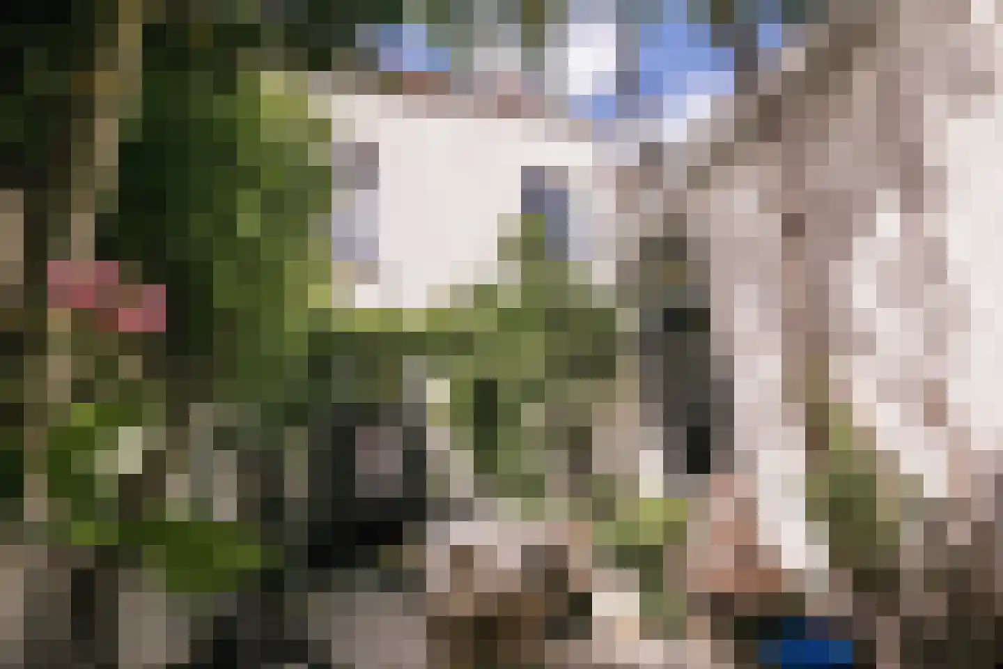 Neerstraat 63 Roermond thumbnail 37