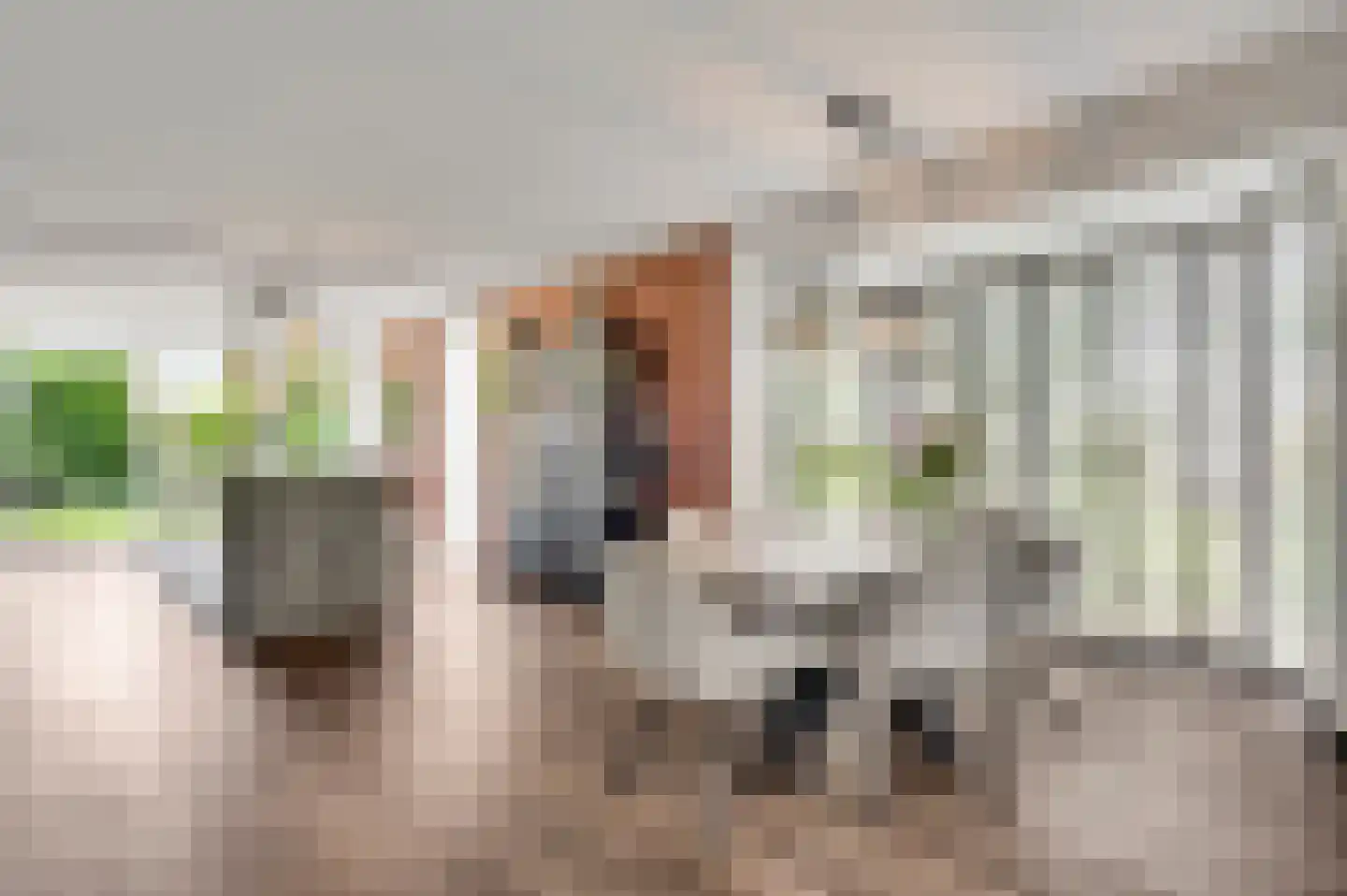 Neerstraat 64 Weert thumbnail 17
