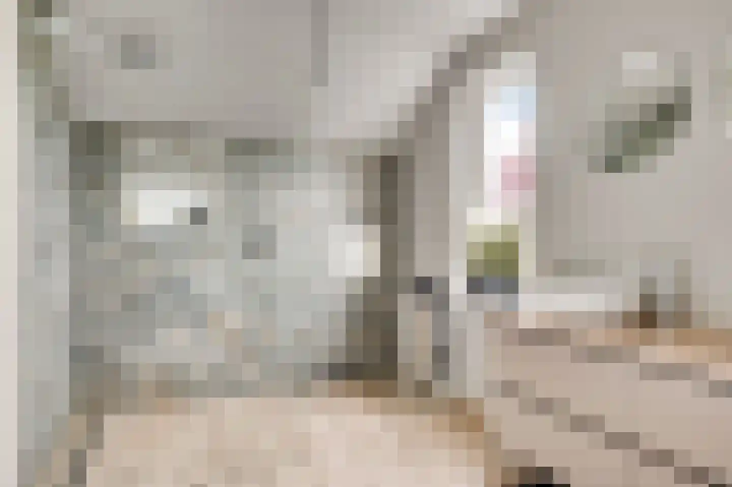 Neerstraat 64 Weert thumbnail 38