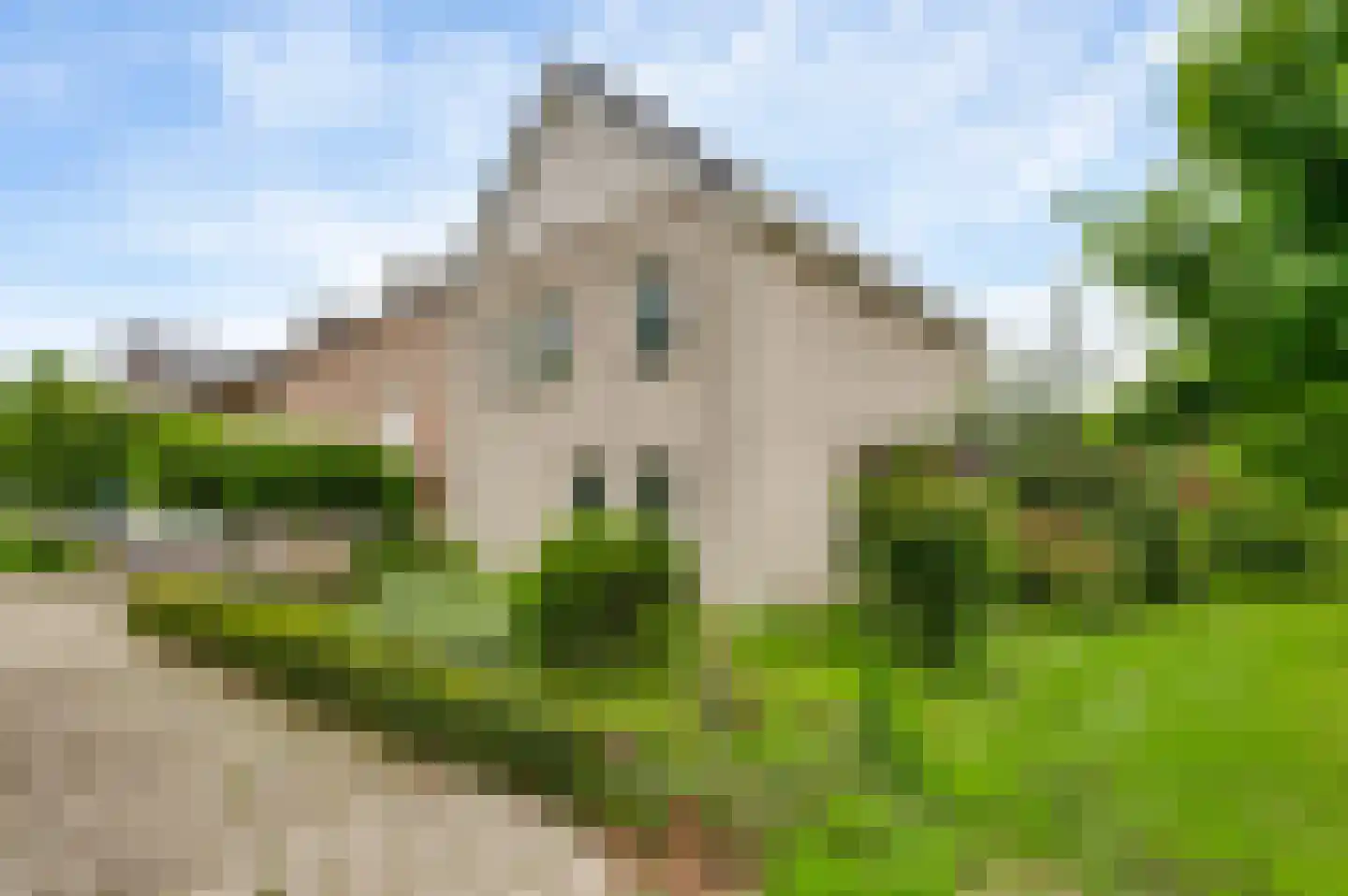 Neerstraat 64 Weert thumbnail 53