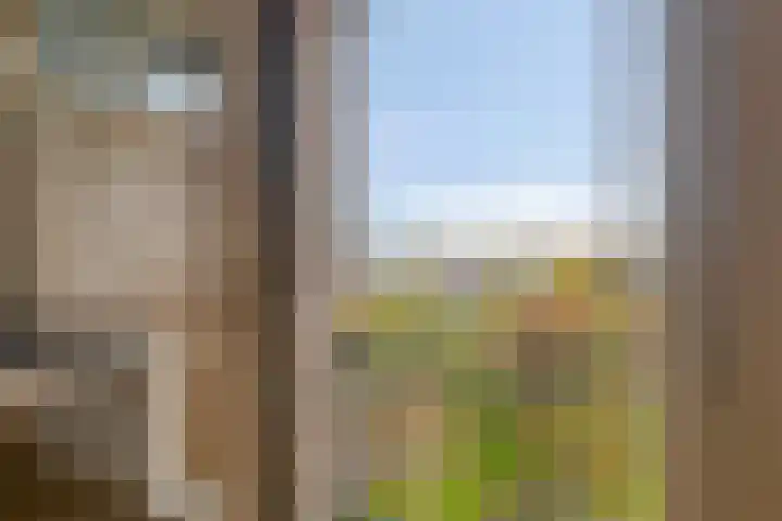 Neerstraat 93 's-Hertogenbosch thumbnail 10