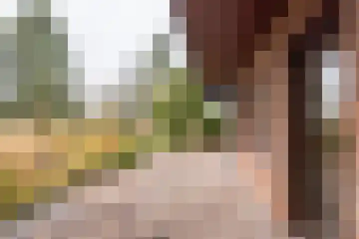 Neerveldseweg 1 A Netterden thumbnail 12