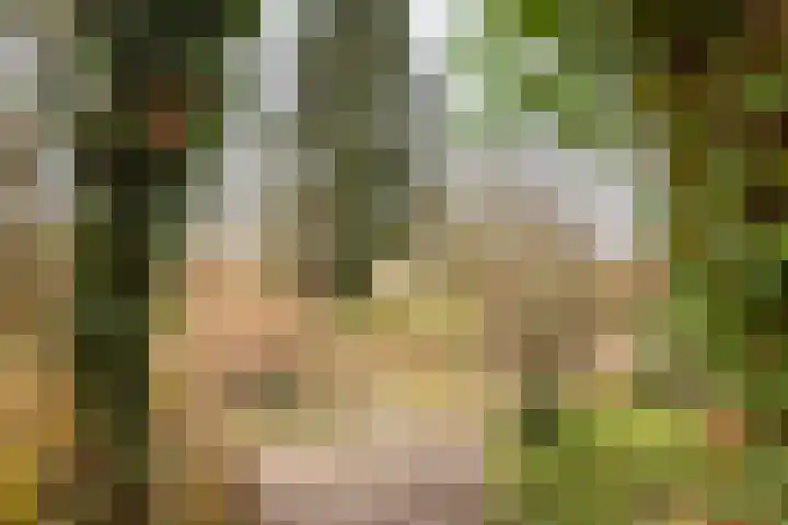Neerveldseweg 1 A Netterden thumbnail 13